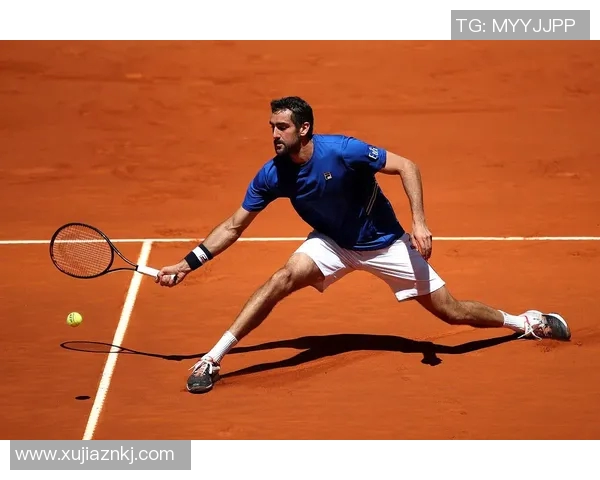 蒂姆与西里奇在法网激战正酣谁能笑到最后决胜负