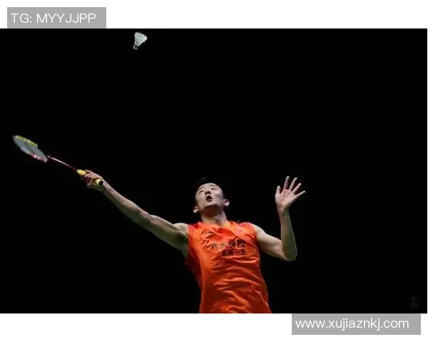 林丹与谌龙世锦赛巅峰对决回顾：羽坛传奇的荣耀与挑战