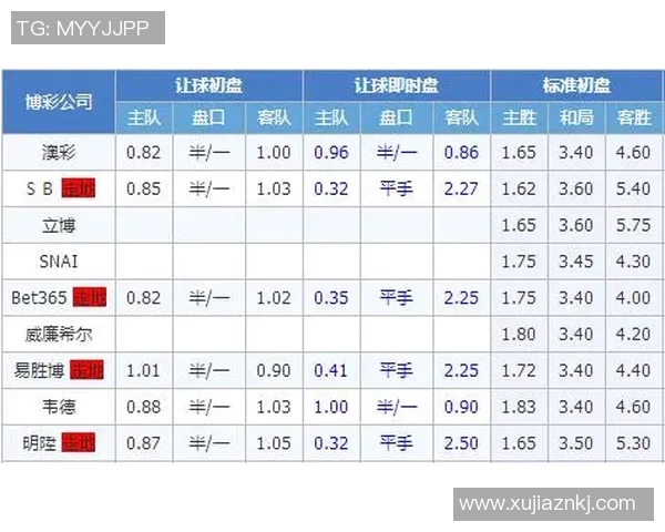 中国对捷克足球赛盘口分析及投注建议详解