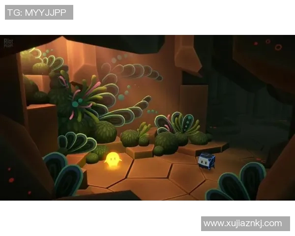 天空之下神秘人直播揭开未知面纱探索奇幻世界的旅程