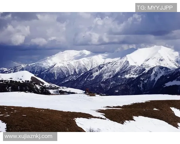 2019年3月27日爱尔兰与格鲁吉亚精彩对决回顾与分析 2019年3月27日爱尔兰与格鲁吉亚精彩对决回顾与分析