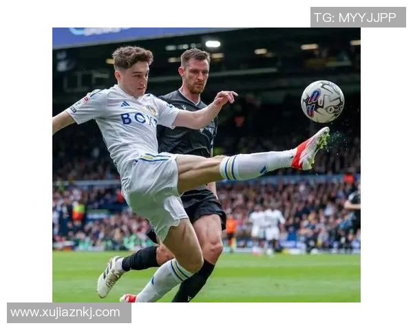 切菲尔德与布拉德福德的激烈对决展现英冠球队的实力与魅力 切菲尔德与布拉德福德的激烈对决展现英冠球队的实力与魅力