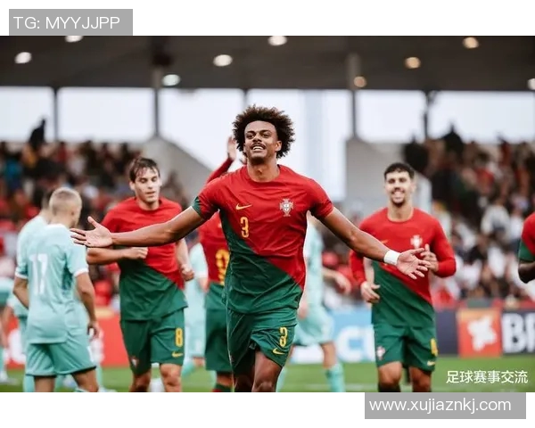 意大利与罗马尼亚2008年精彩对决回顾与分析