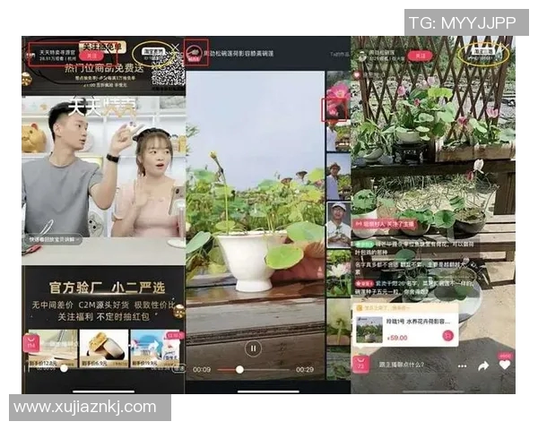 江苏与上海精彩对决视频直播全程回顾与分析尽在这里