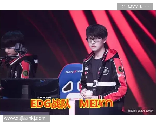 深入探讨EDG战队在比赛中的耐力表现与数据分析结果