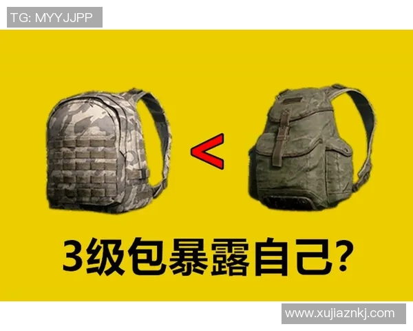 和平精英热点分析：深入解读LNG战队的战术节奏与表现